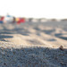 Areia, chapus-de-sol, toalhas e veraneantes