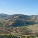 Alto Douro vinhateiro